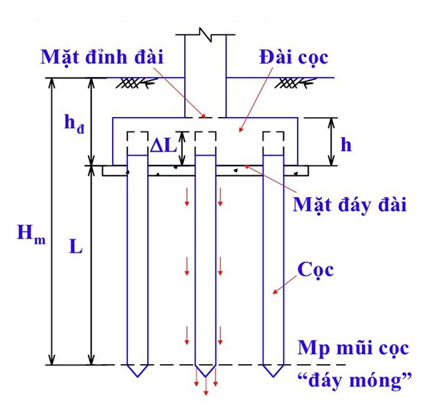 Cấu tạo của móng cọc trong xây dựng.